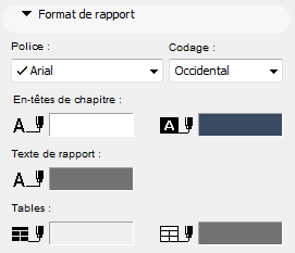 ReportFormatEE.png
