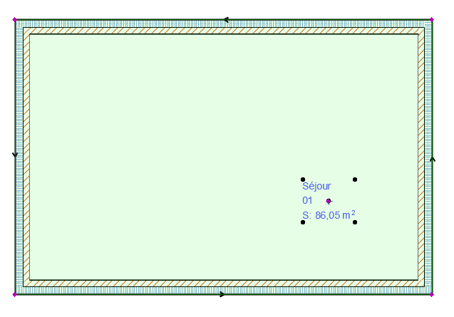 ZonePolygonGross.png