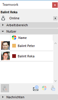 UsersPanel.png