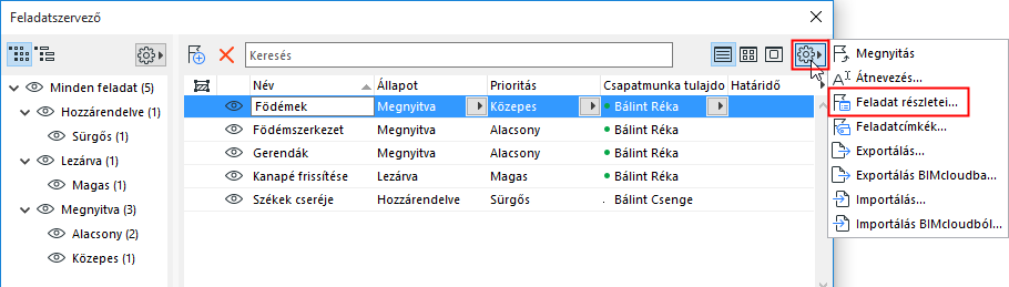 IssueDetailsOrganizer.png