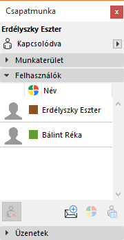 UsersPanel.png