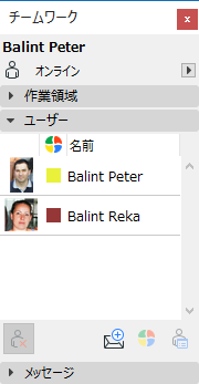 UsersPanel.png