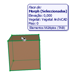 SelectedFace.png