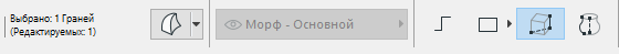 SelectedFaceInfo.png