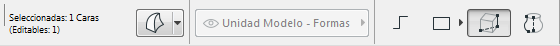 SelectedFaceInfo.png