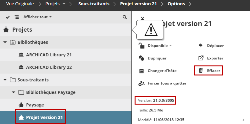 DeleteVersion21Project.png