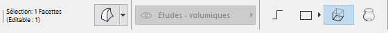 SelectedFaceInfo.png