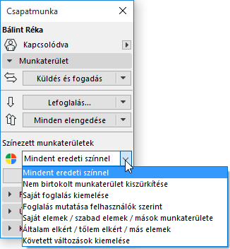 ColoredWorkspaceOptions.png