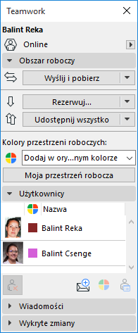 TeamworkPalette.png