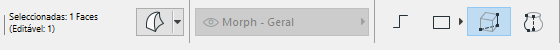 SelectedFaceInfo.png